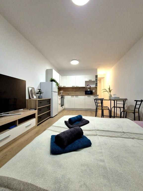 a large bedroom with two pillows on a bed at Krásny apartmán v Ružinove in Bratislava