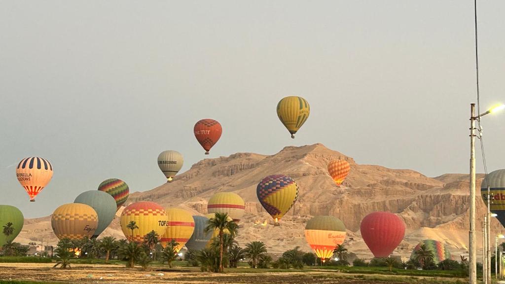 Luxor palace Apartments - 11