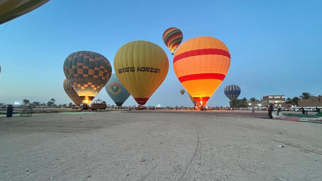 Luxor palace Apartments - 8