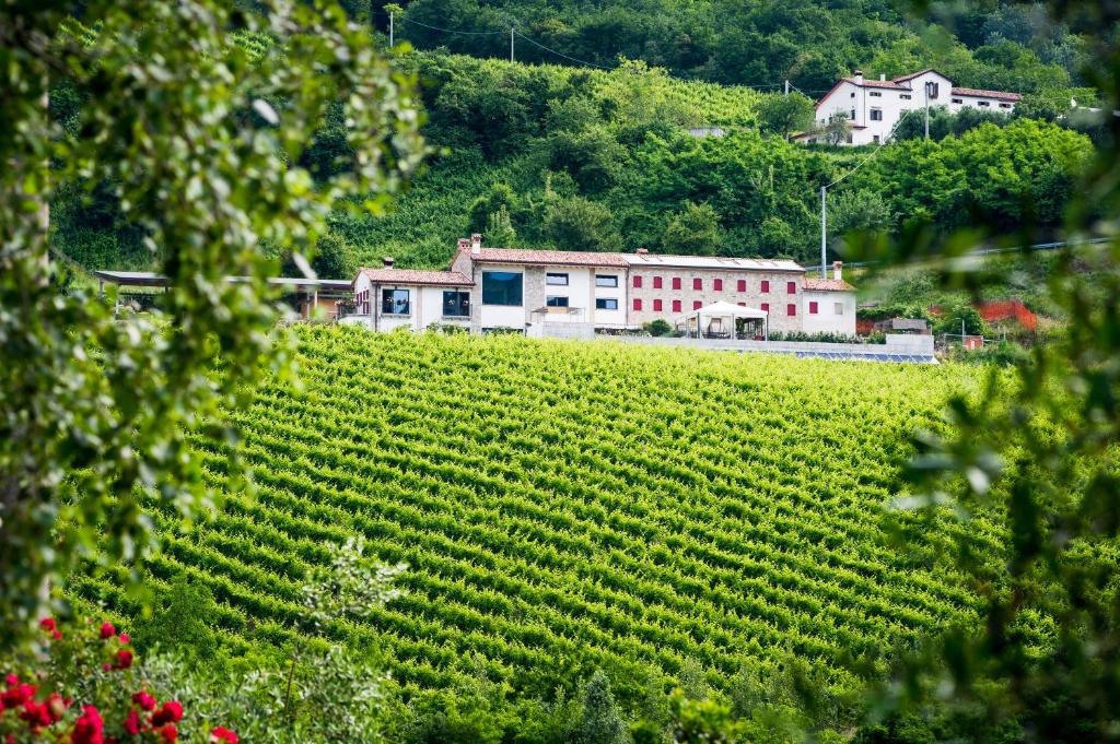 Ca' Piadera Wine Relais في Tarzo: مزرعة فيها ميدان ومبنى في الخلف