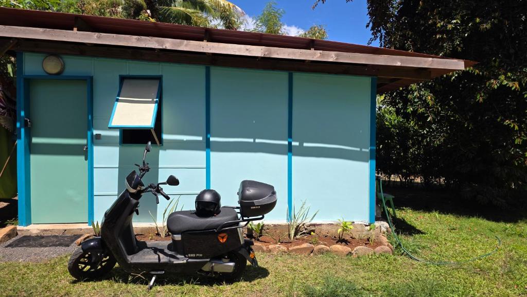 La Maison de l'Artiste, Hauru - photo 7 - Moorea, Polynésie