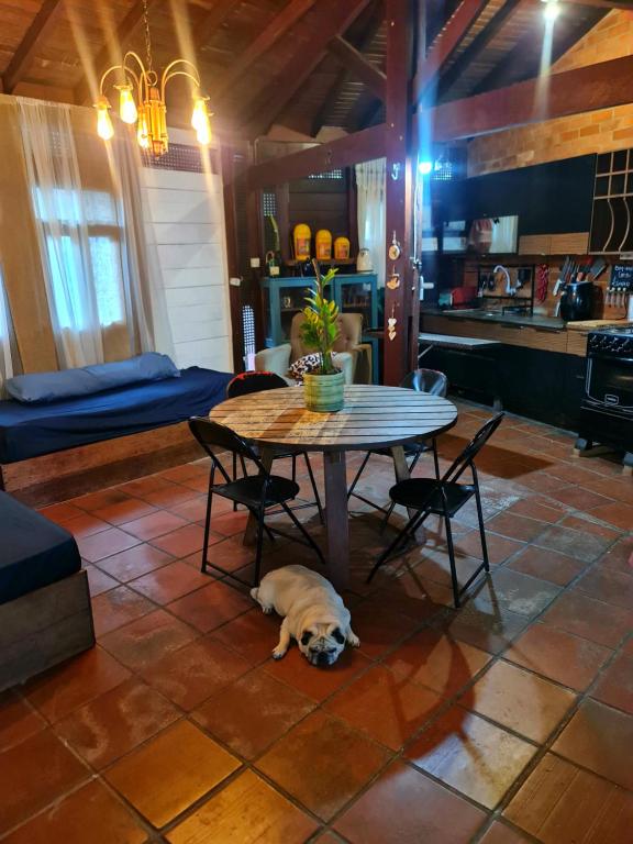 a dog laying under a table in a room at Casa Limoeiro 5min da ilha in Santarém