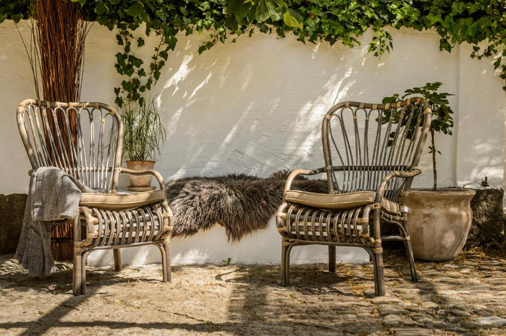 ブラーサルプにあるRubensholm Bed & Breakfastの植物の壁の横に座る椅子2脚