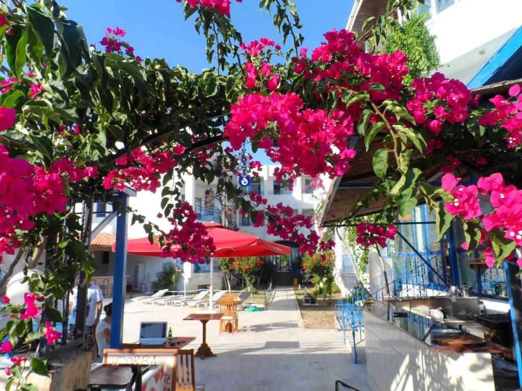 a bunch of pink flowers hanging from a building at One More Day Hotel in Turgutreis