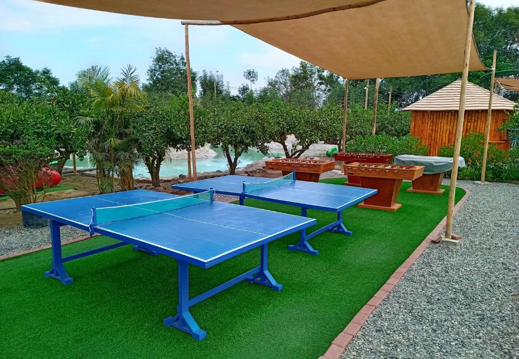 Πινγκ πονγκ στο Mandarhemia Club ή εκεί κοντά