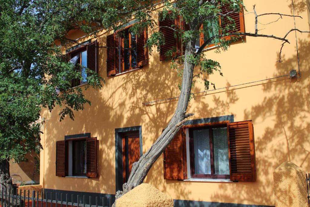 un albero appoggiato sul lato di un edificio di B&B La Cantoniera a San Teodoro