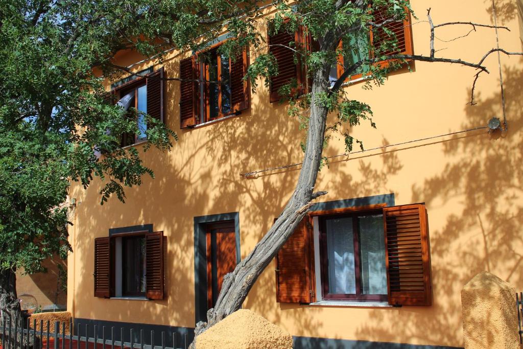a tree leaning against the side of a building at B&B La Cantoniera in San Teodoro