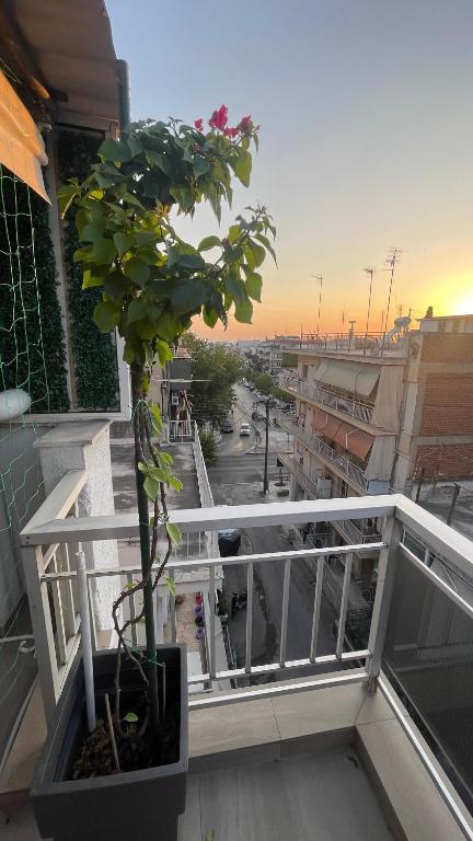 Christos urban oasis