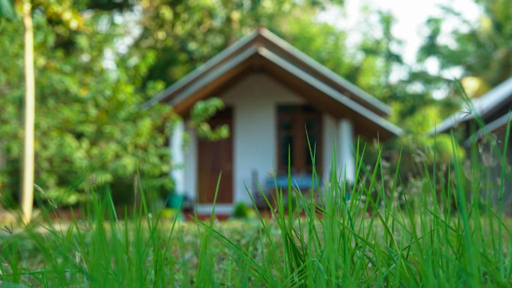 a small house in the middle of a field of grass at Little Haven Cottage in Sigiriya