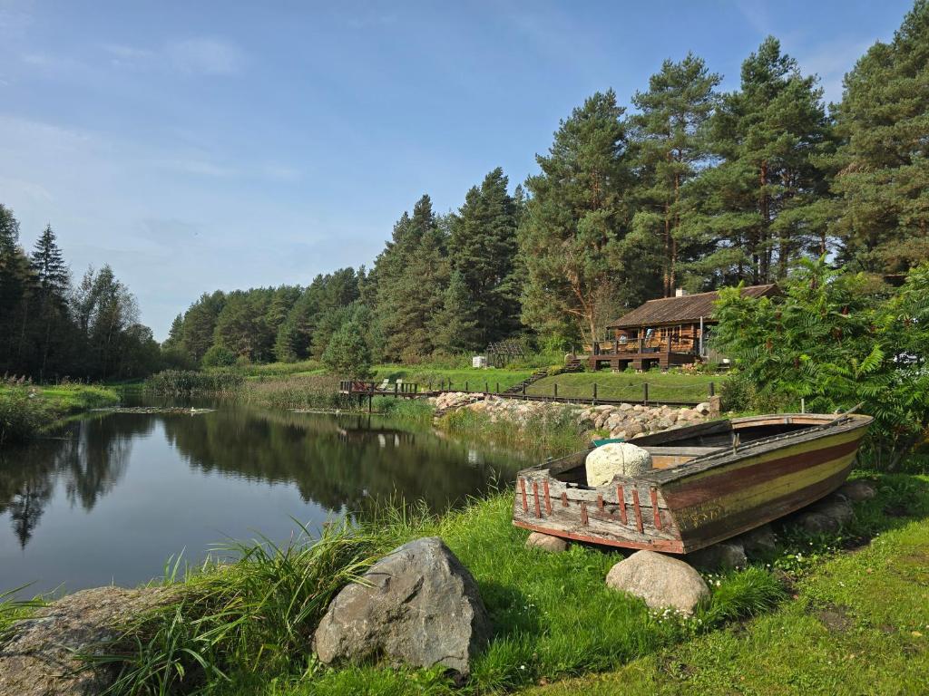 a boat sitting on the grass next to a lake at Hõbesoo Puhkekeskus in Lepiku