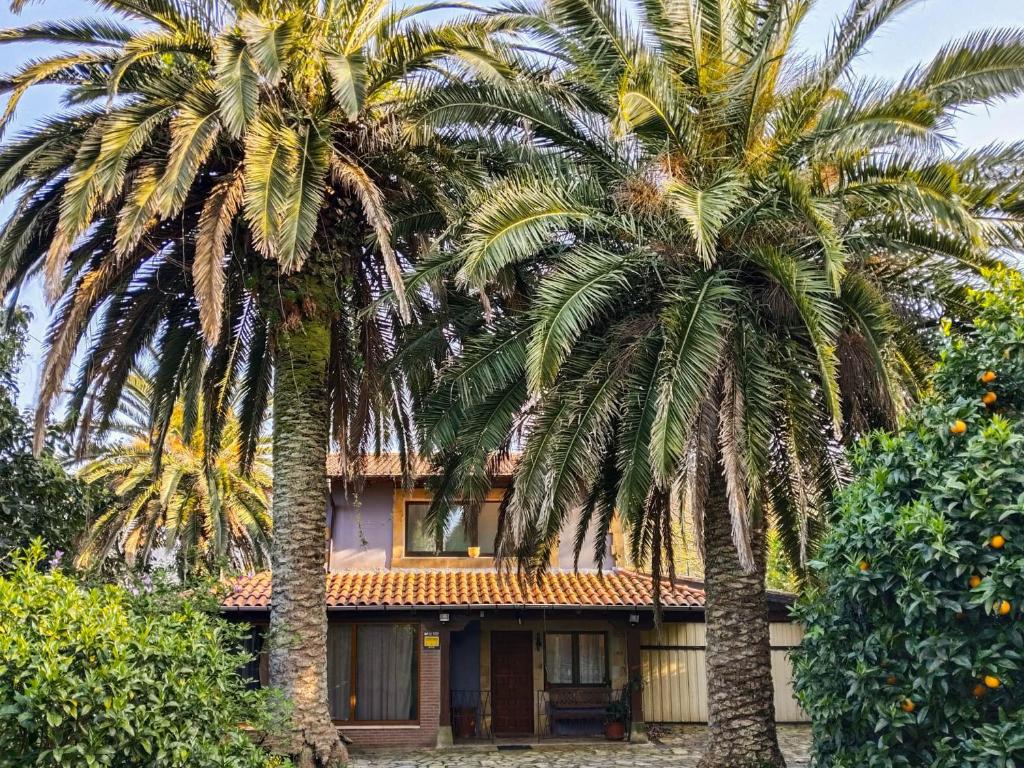 Zahrada ubytování Casa Sebia