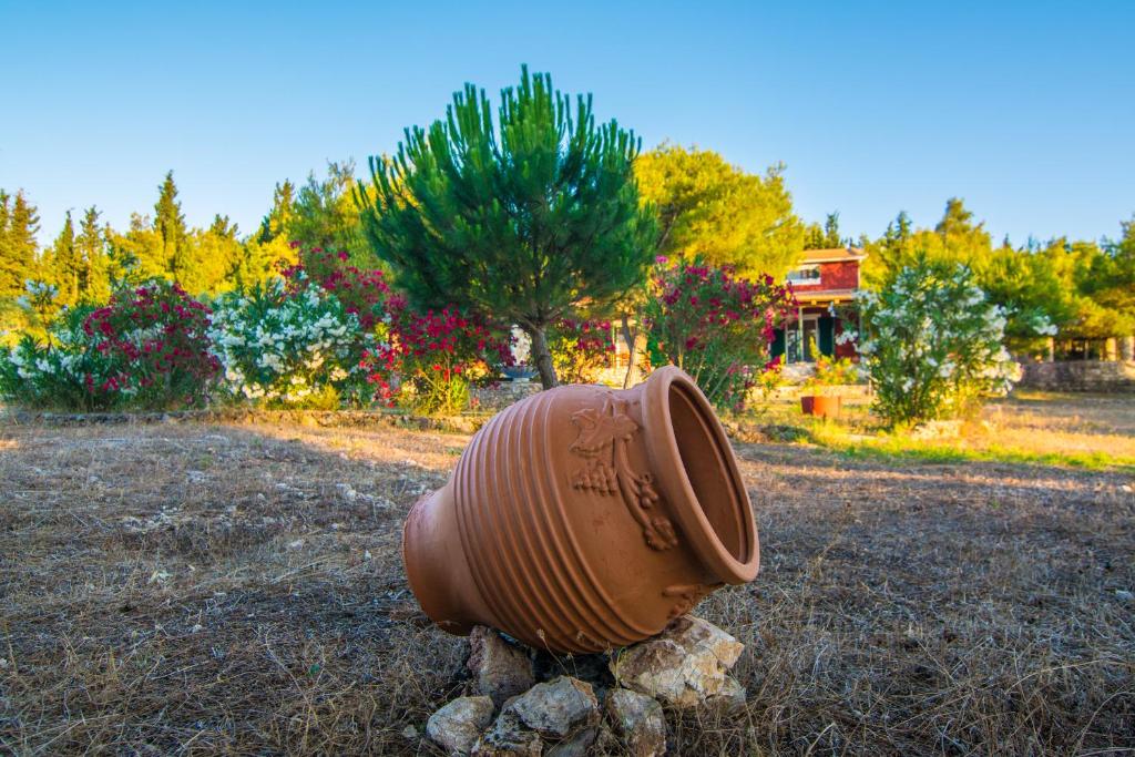 A garden outside Elatia Villa