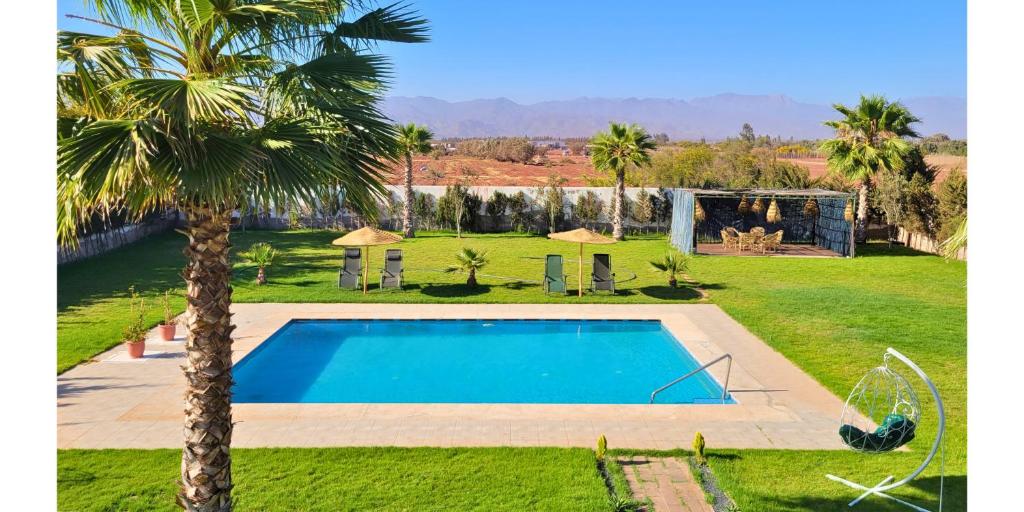 a swimming pool in a yard with a palm tree at L'Oasis in Mzerguia