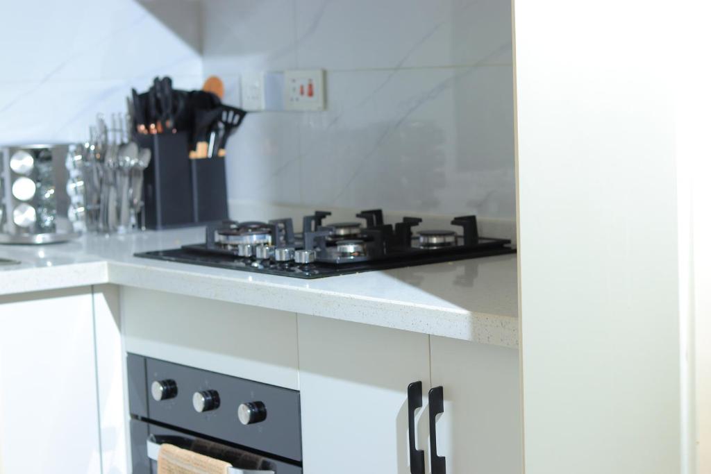 Kuchyň nebo kuchyňský kout v ubytování Alba Garden