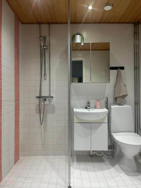 ein Badezimmer mit Dusche, Waschbecken und Toilette in der Unterkunft City center apartment with sauna & rooftop terrace in Pori