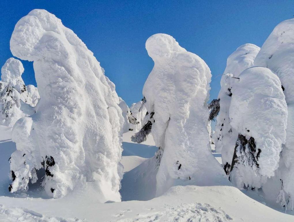 Το Snowfall Meteor 飛雪流星 τον χειμώνα
