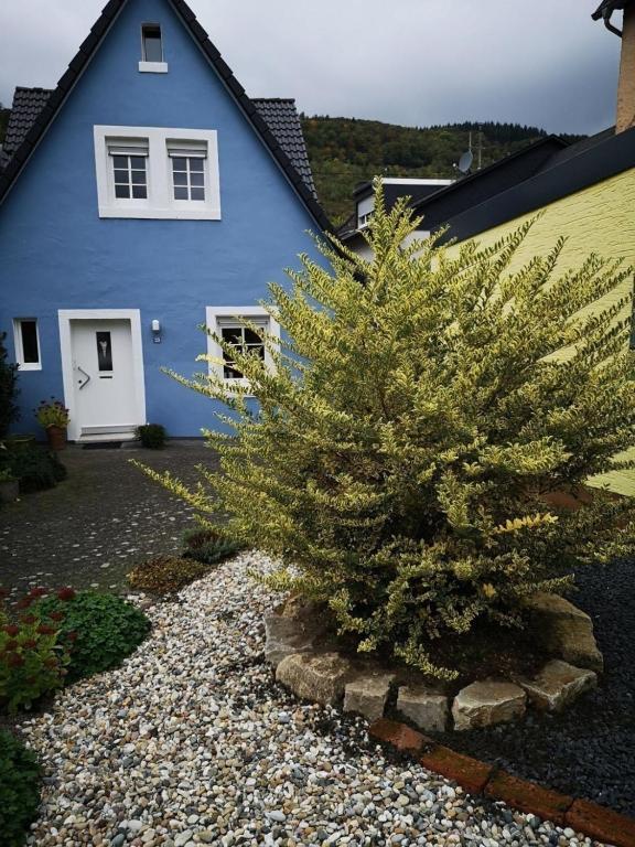 a blue house with a tree in front of it at Das blaue Haus in Zeltingen-Rachtig