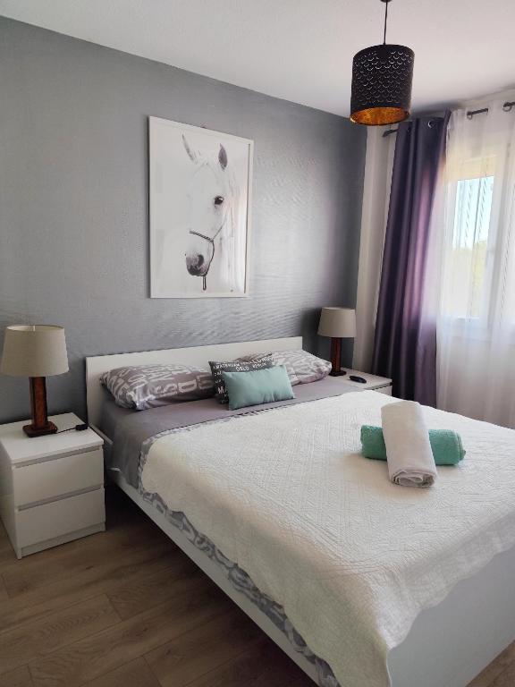 Le balcon de la basse centre ville de Perpignan - Housity