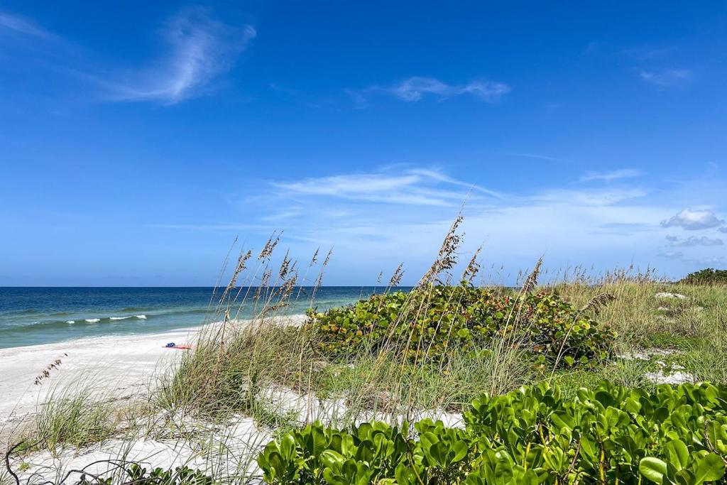 a beach with plants and the ocean in the background at Ground Floor Oceanview Open Tonight Morning Arrival Possible! in Longboat Key