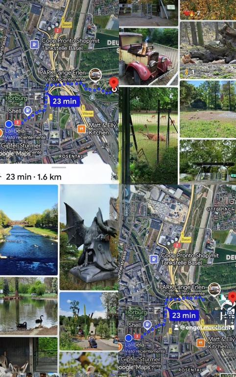 BaselStadt - Resim 27