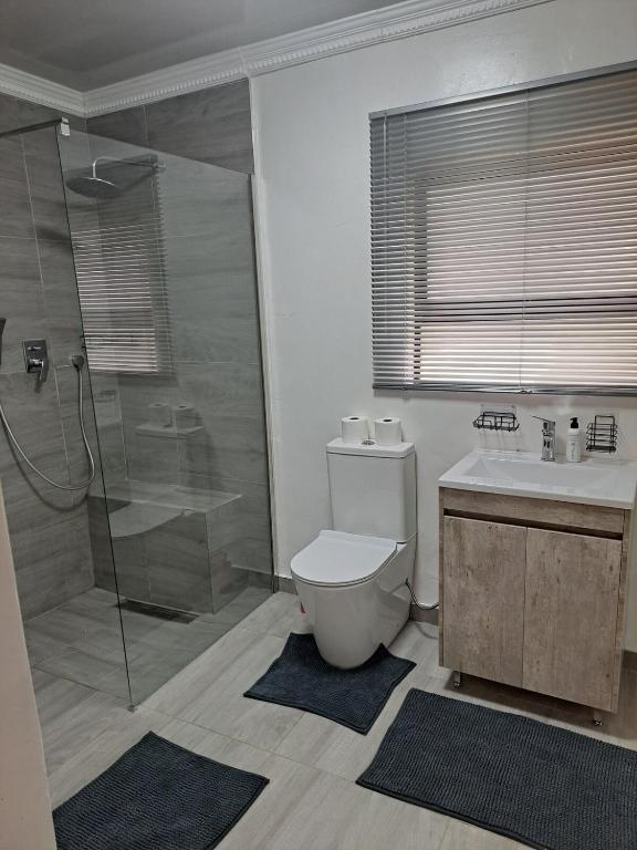 Steijn Apartments في Standerton: حمام مع دش ومرحاض ومغسلة
