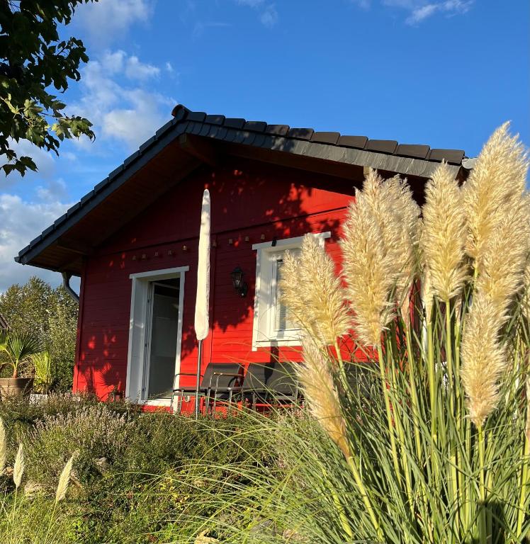 ein rotes Haus mit Pflanzen davor in der Unterkunft Auszeit im Tiny House LORE Westerwald in Steinebach