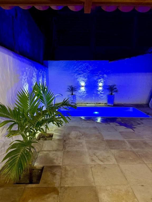 a blue room with a potted plant in it at Casa no centro na Praia do Preá/CE in Prea