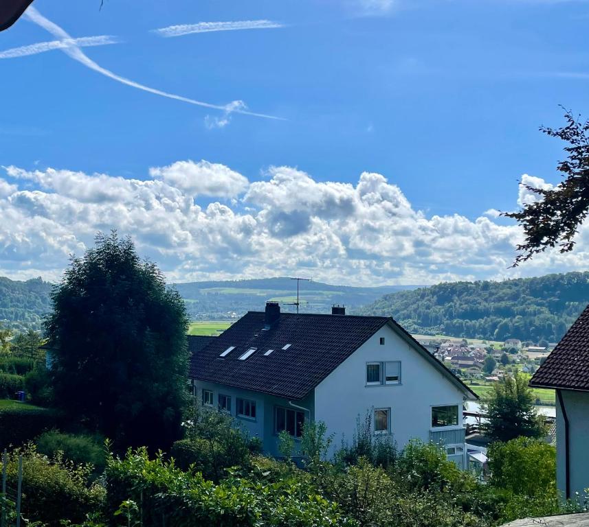 a white house sitting on top of a hill at Ferienwohnung Michena in Waldshut-Tiengen