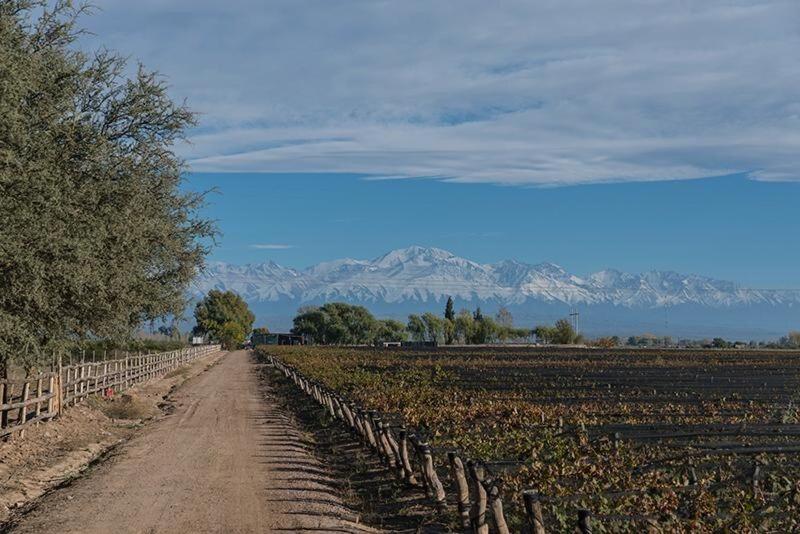 a dirt road in a field with mountains in the background at Refugio exclusivo entre Viñedos y Cordillera in Ciudad Lujan de Cuyo