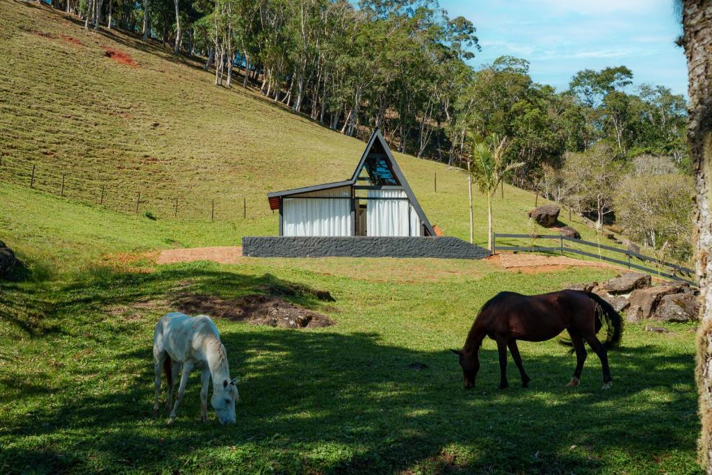 two horses grazing in the grass in front of a building at Chalé Encanto - Hotel Fazenda Gabro in Apiaí