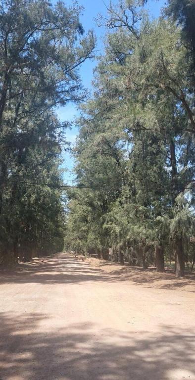 Casa quinta con jardín y pileta