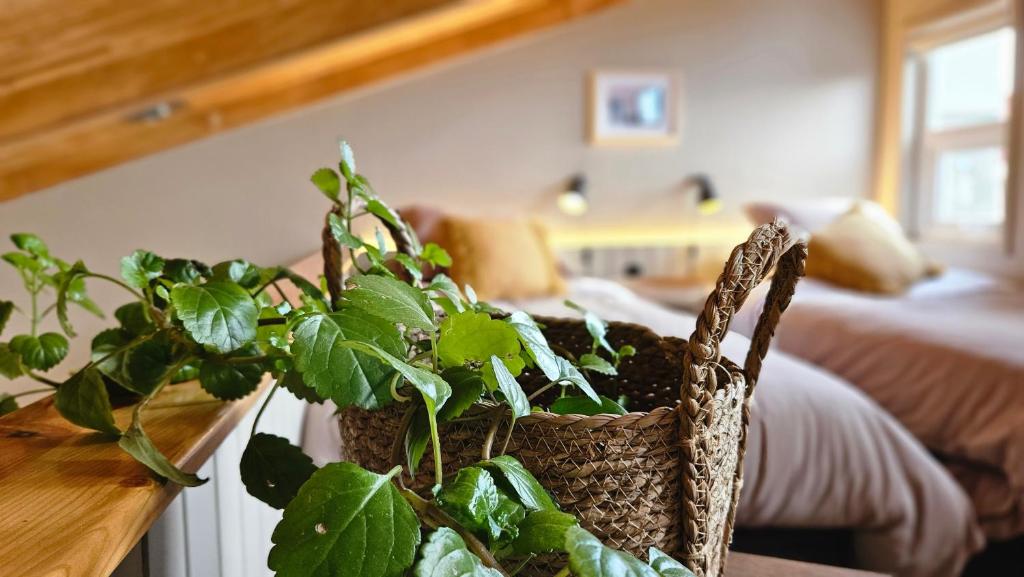 Departamentos de Autor en Cerro de La Cruz Barrio Histórico - The Passenger