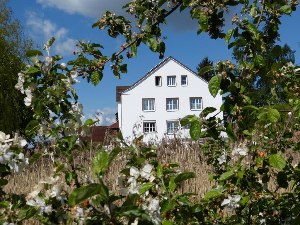 ein weißes Haus inmitten eines Blumenfeldes in der Unterkunft Das Haus am Teich in Groß Grabow