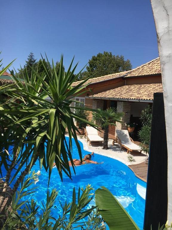 a blue swimming pool with a palm tree in front of a house at Hacienda Apartman in Békéscsaba