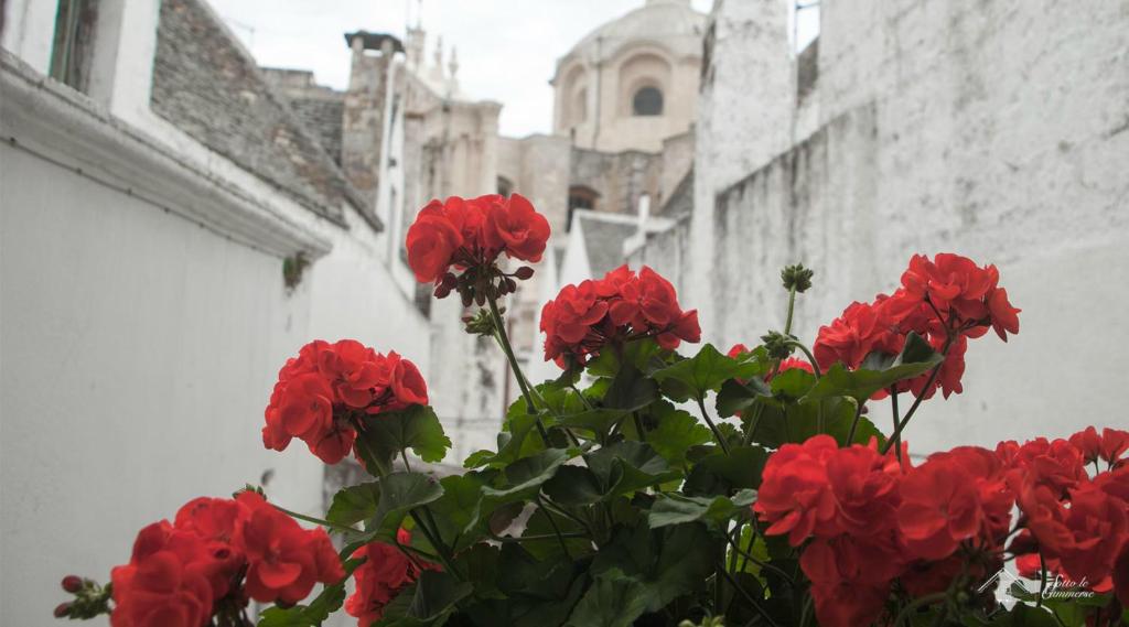 Albergo Diffuso Sotto le Cummerse - 19