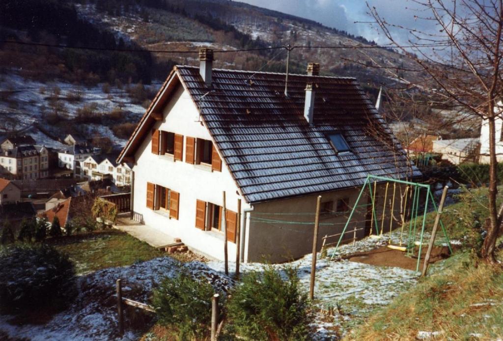 a house with a slate roof on a hill at le gutty - maison de vacances in Natzwiller