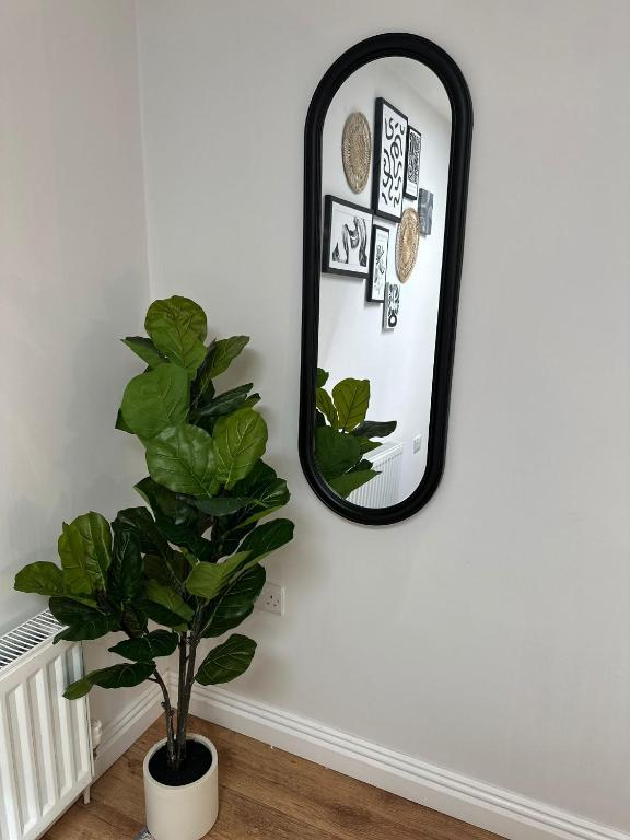 Ocho Homes Lux By Eight Continents, Belfast - Resim 14