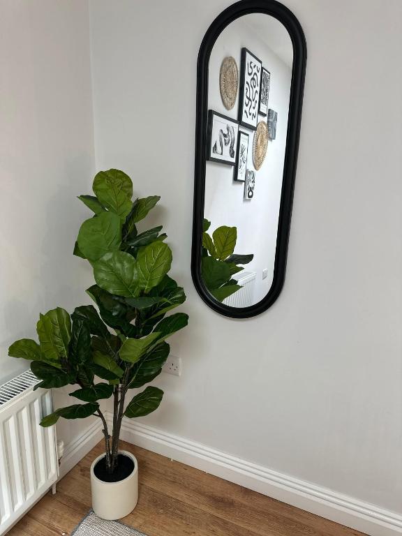 Ocho Homes Lux By Eight Continents, Belfast - Resim 19