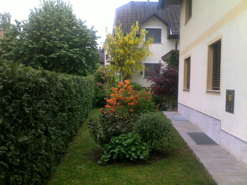 Zahrada ubytování Apartment Sobe Ravbar