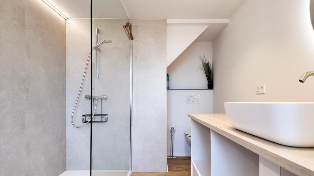 a bathroom with a shower and a sink at El Sart in Sart-lez-Spa