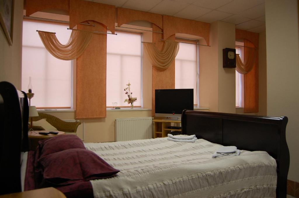 a bedroom with a bed and a tv and windows at Hotel Luiize in Jēkabpils