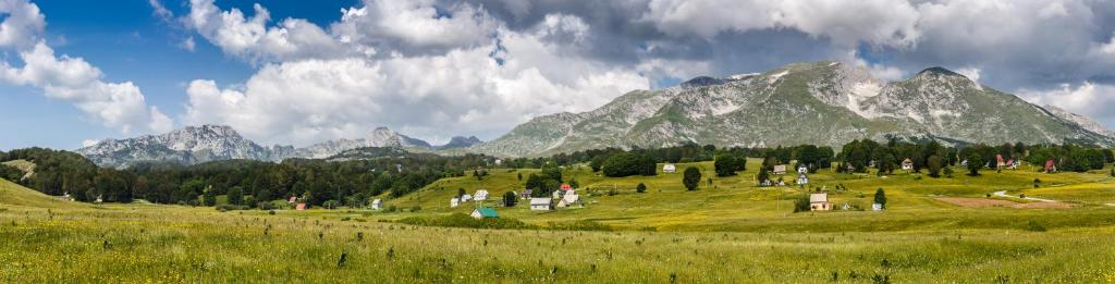 a green field with a mountain in the background at Eco Village Highlander in Žabljak