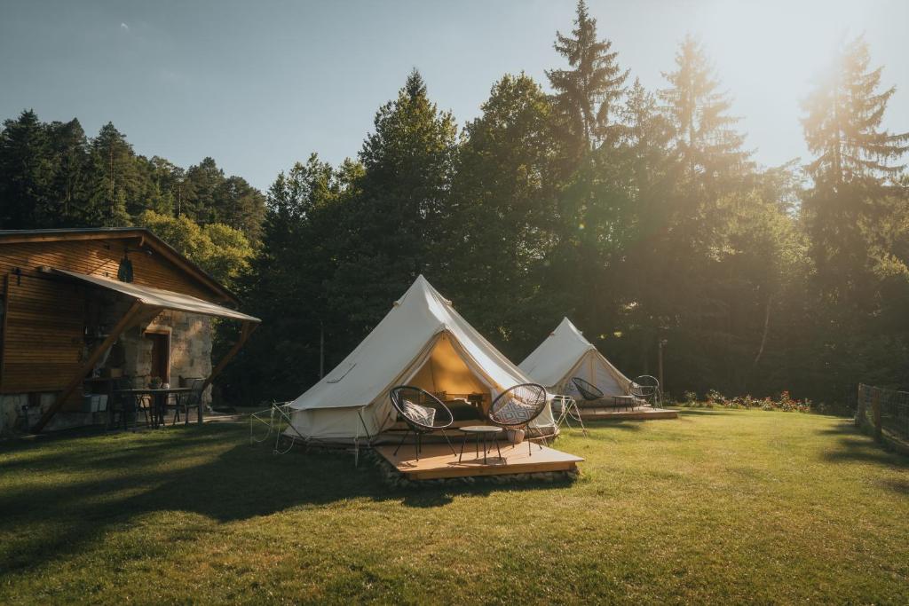 a group of tents sitting in a field at Glamping Natur Resort Jetřichovice in Jetřichovice