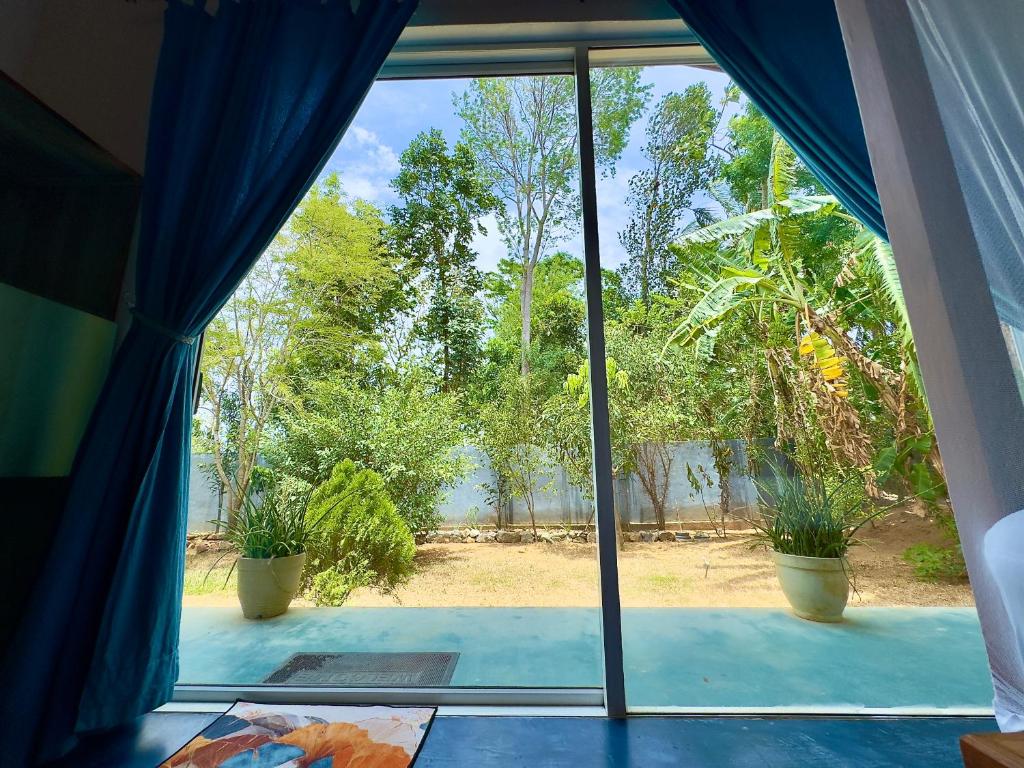 Amba Kola Udawalawa - 15