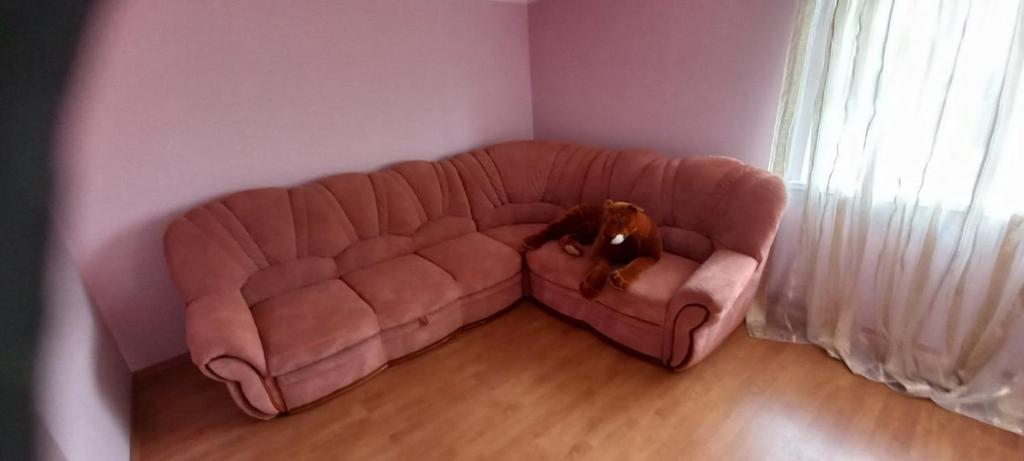 un chien brun assis sur un canapé dans une pièce dans l'établissement Кімната з диваном, à Dilyatyn