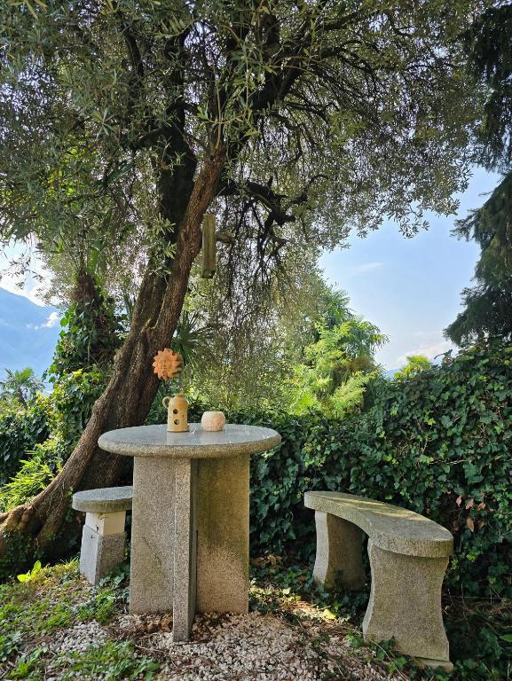 Villa Ida Früh by Holap SA