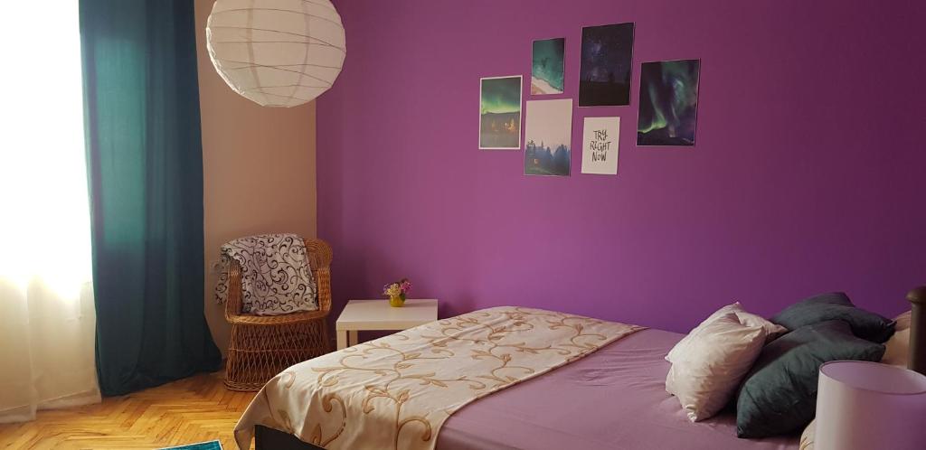 a bedroom with purple walls and a bed and a chair at Apartment Dukat Vršac in Vršac
