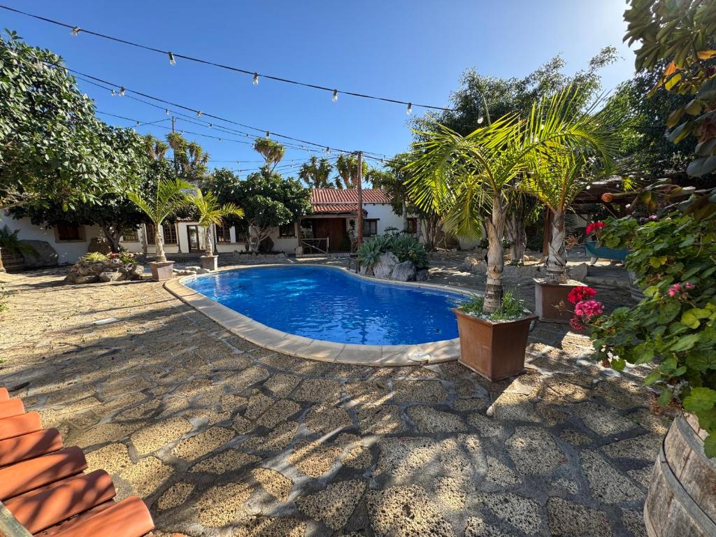 a swimming pool in a yard with palm trees at Casa Mercedes in El Río