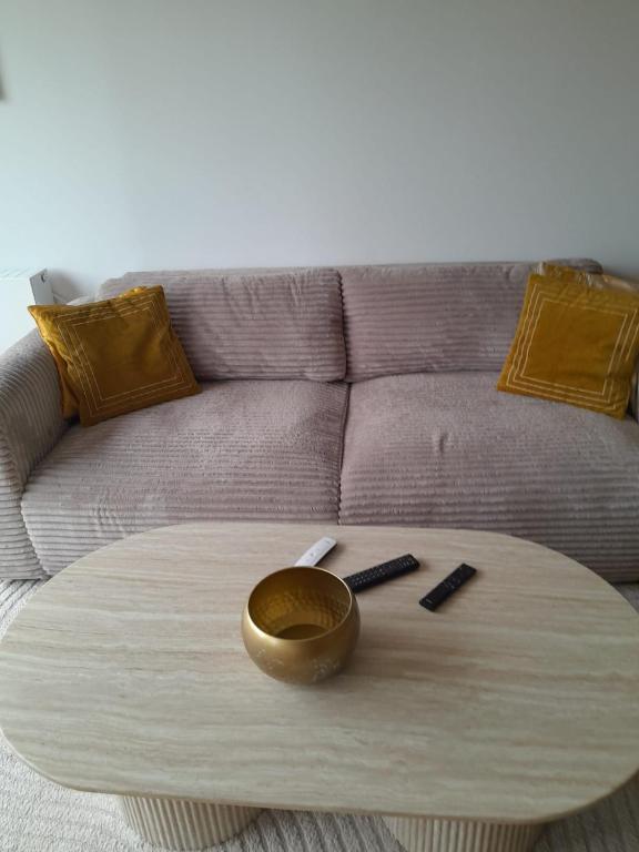 a coffee table in front of a couch at Le plein vert in Villeneuve-Saint-Georges