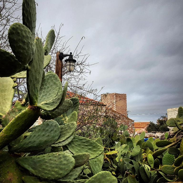 Fotografie z fotogalerie ubytování Katafigi v destinaci Pirgos Dhirou